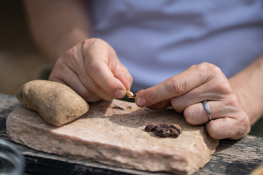 Man cracking pine nuts on a rustic stone surface