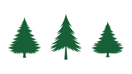 Obraz premium Three green evergreen trees in a row