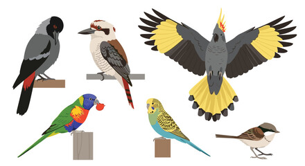 Naklejka premium A vibrant collection of seven diverse Australian birds perched on wooden posts.