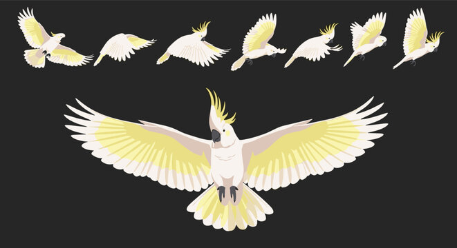 Pixel art animation of a cockatoo in flight showing its wingspan and detailed feathers.