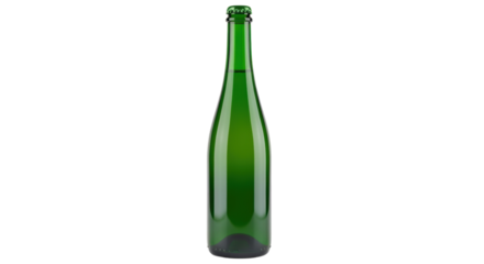 Isolated bottle of beer or sparkling wine, alcoholic green glass bottle, closed bottle ready to party