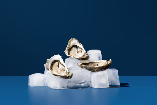 Fresh oysters on ice with a blue backdrop