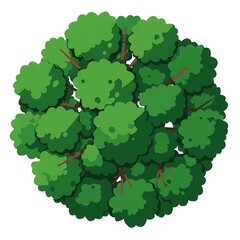 Stylized Green Tree or Bush Top View Illustration Isolated on White Background