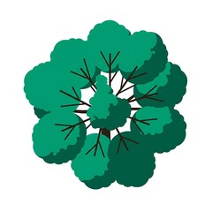 Top View Green Tree Illustration on White Background