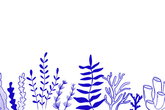 Fototapeta Nautical botanical illustration in blue and white