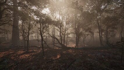 Naklejka premium Sunlight gently breaks through the trees, illuminating a misty forest. The ground is covered with fallen leaves, creating a serene atmosphere early in the morning.