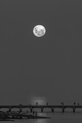 full moon over the city