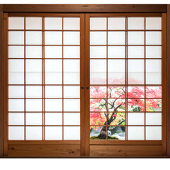 Sliding wooden screen with white paper reveals an autumn scene a vibrant tree, garden