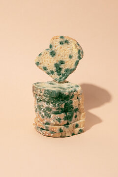 Stacked moldy bread slices displaying growth of mold