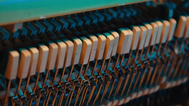 Man playing and tuning piano, Old vintage piano hammers with strings close up, 