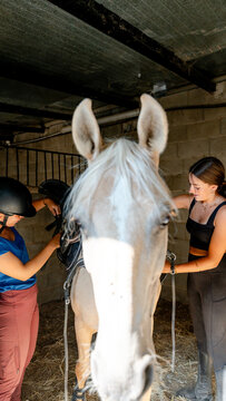 Horse training session with two girl at stable