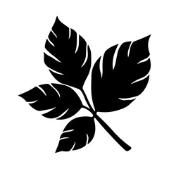Black icon of a branch with leaves without background
