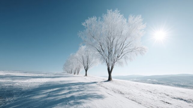 Frost-kissed trees stand solitary on snow-blanketed plains, whispering tales of Imbolc's quiet rebirth and winter's embrace