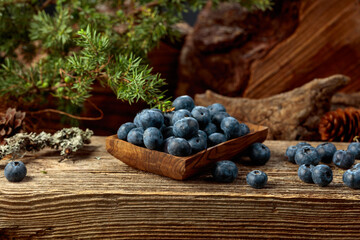 Blueberries in a wooden dish on a pine stump.