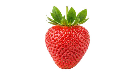 Isolated strawberry fruit, red, fresh and healthy; a popular berry that is grown worldwide