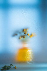 Blurred yellow Tansy flowers in a vase create a dreamy, impressionistic still life with warm tones against a cool blue backdrop, evoking calm, gentle serenity