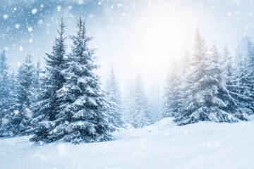 Serene Forest Covered With Fresh White Snow