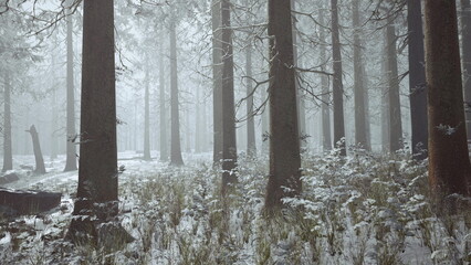 Naklejka premium Pine trees stand tall in a snowy landscape, blanketed with soft white snow. The serene atmosphere surrounds the quiet woods, evoking a peaceful winters day.