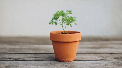 Terracotta pot cradles an ethereal sapling, whispering tales of growth amidst Arbor Day reflections and National Plant a Flower Day