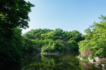 연못 주변의 녹색의 숲속 풍경 