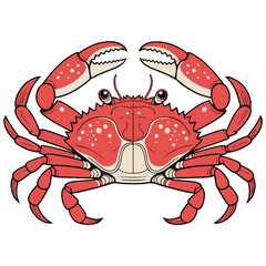 Colorful Red Crab Illustration, Detailed Marine Sea Animal Artwork for Ocean and Seafood Themes and Beach Concepts.