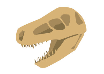 恐竜の化石の頭部 © tom