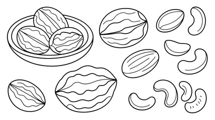 Hand drawn illustration of various nuts including walnuts and cashews in a bowl and scattered
