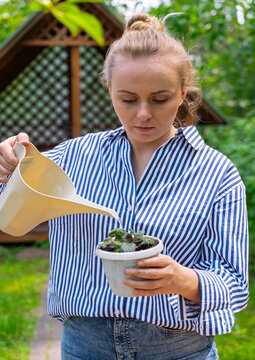 Woman nurturing plants in a tranquil garden setting