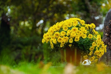 Blumen in Vase am Grab im Herbst, keine Namen, keine Personen