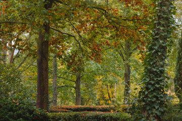 Herbstliches Licht am Morgen, weich mild und soft