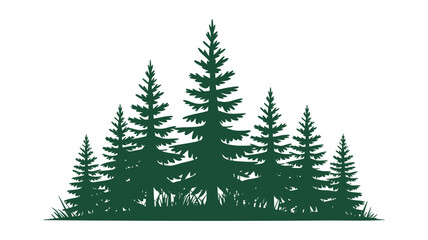 Fototapeta premium A cluster of dark green evergreen trees