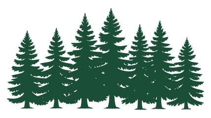 Obraz premium Silhouette of a dense forest of evergreen pine trees