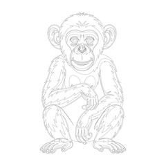 Ape Animals Outline Vector Icons And Graphics Design