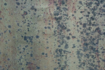 Grungy Textured Metal Surface with Dark Moss or Lichen Spots