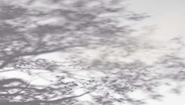 Abstract shadow tree crown branches on wind background