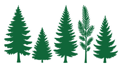 Obraz premium Set of diverse green pine trees and evergreen forest foliage collection
