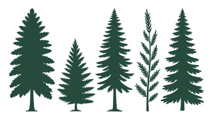 Fototapeta premium Collection of evergreen trees and tall grass silhouettes for natural designs
