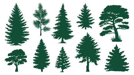 Fototapeta premium Collection of diverse evergreen pine and fir tree silhouettes for nature and design projects