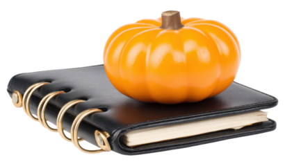A vibrant orange pumpkin sits atop a black binder with golden rings, showcasing a seasonal, decorative theme.