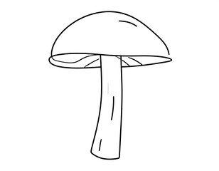 A simple line drawing of a mushroom, showcasing the cap and stem in black. The image is clean and minimalistic, against a blank white background