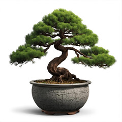 Serene bonsai tree with lush green foliage in an ornate pot, symbolizing patience and natural beauty.