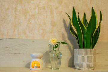 An aroma lamp with essential oil and a beautiful vanilla-colored tea rose in an elegant glass vase.