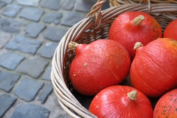 Close-up of bright orange pumpkins in wicker basket on street. Halloween celebration, decoration for shops and stores, local markets with organic veggies in fall or autumn. Harvest and crop concept