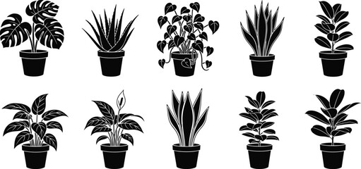 Potted Plant Silhouette Collection Featuring Ten Unique Leaf Shapes in Black Vector Style for Botanical, Decorative, and Interior Design Use