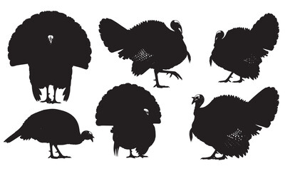 Baseball Number Five Cartoon Illustration with Baseball Bat, Glove, Cap, and Ball, Perfect for Sports Themed Designs