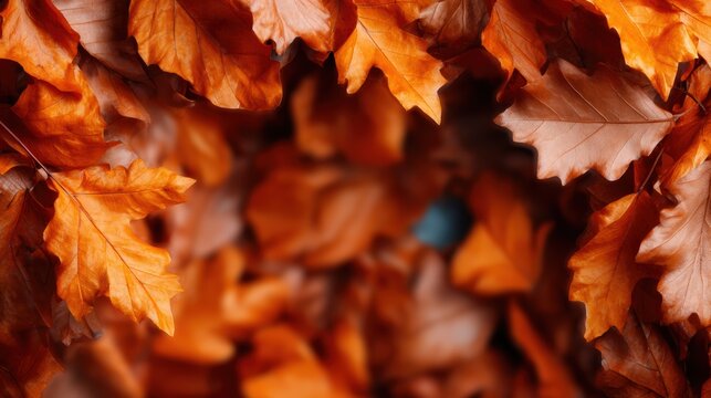 A stunning collection of autumn leaves blankets the ground, showcasing vibrant orange hues and elements of seasonal change, symbolizing transformation and the beauty of nature.