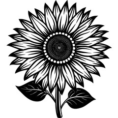 Detailed close up illustration of a vibrant sunflower with bright yellow petals reaching towards a clear expansive blue sky perfect for summer and nature themes