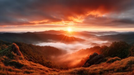 A vibrant sunrise casts golden rays over rolling hills blanketed in mist, capturing the enchanting beauty of dawn and evoking a sense of hope and renewal.