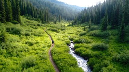 Naklejka premium A breathtaking view of a lush green valley adorned with a winding path and a tranquil stream, inviting viewers to embrace the natural beauty and adventure of outdoor exploration.