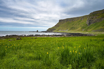 Küstenlandschaft in Nordirland mit Steilküste
